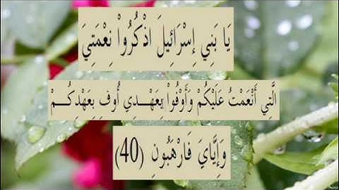 القران الكريم سورة البقرة الاية 40