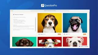 QuestionPro Communities overview | Build a research community for real customer insights QuestionPro Communities overview | Build a research community for real customer insights