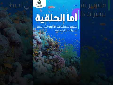 هل تعلم أن الشعاب المرجانية هي كنوز طبيعية تحفظ توازن الحياة البحرية
