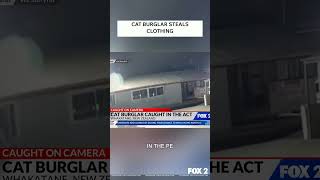 Cat Burglar Steals Clothing