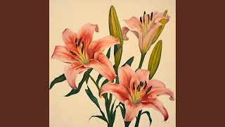 Lilies