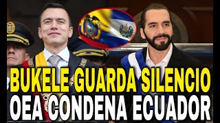¿Qué Piensan Los ECUATORIANOS DE LA CONDENA DE LA OEA  - EL SALVADOR Nayib Bukele GUARDA SILENCIO