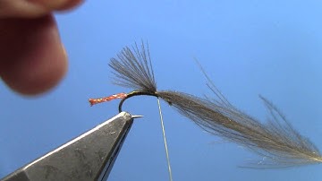Fly Tying - Morgan