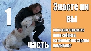 [Часть 1] Взаимоотношения с вашей собакой