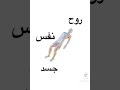 سلسلة من انت ايها الانسان ١