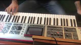 Saz electro Roland Fantom X6