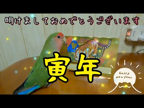 キーちゃんから新年のご挨拶