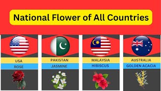 National flowers of all countries, All world comparison videos #world #comparison #flowers