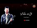 ATIF ASLAM | Auliya Song Whatsapp Status | Atif Aslam Whatsapp Status Whatsapp Status Video Download Free