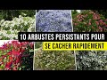 10 Arbustes PERSISTANTS à Utiliser en Haie pour se CACHER d