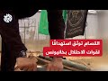 مشاهد بثتها كتائب القسام لاستهداف قوات الاحتلال شرق مدينة خانيونس جنوبي قطاع غزة مشاهد بثتها كتائب القسام لاستهداف قوات الاحتلال شرق مدينة خانيونس جنوبي قطاع غزة