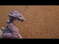 The Dancing Bird