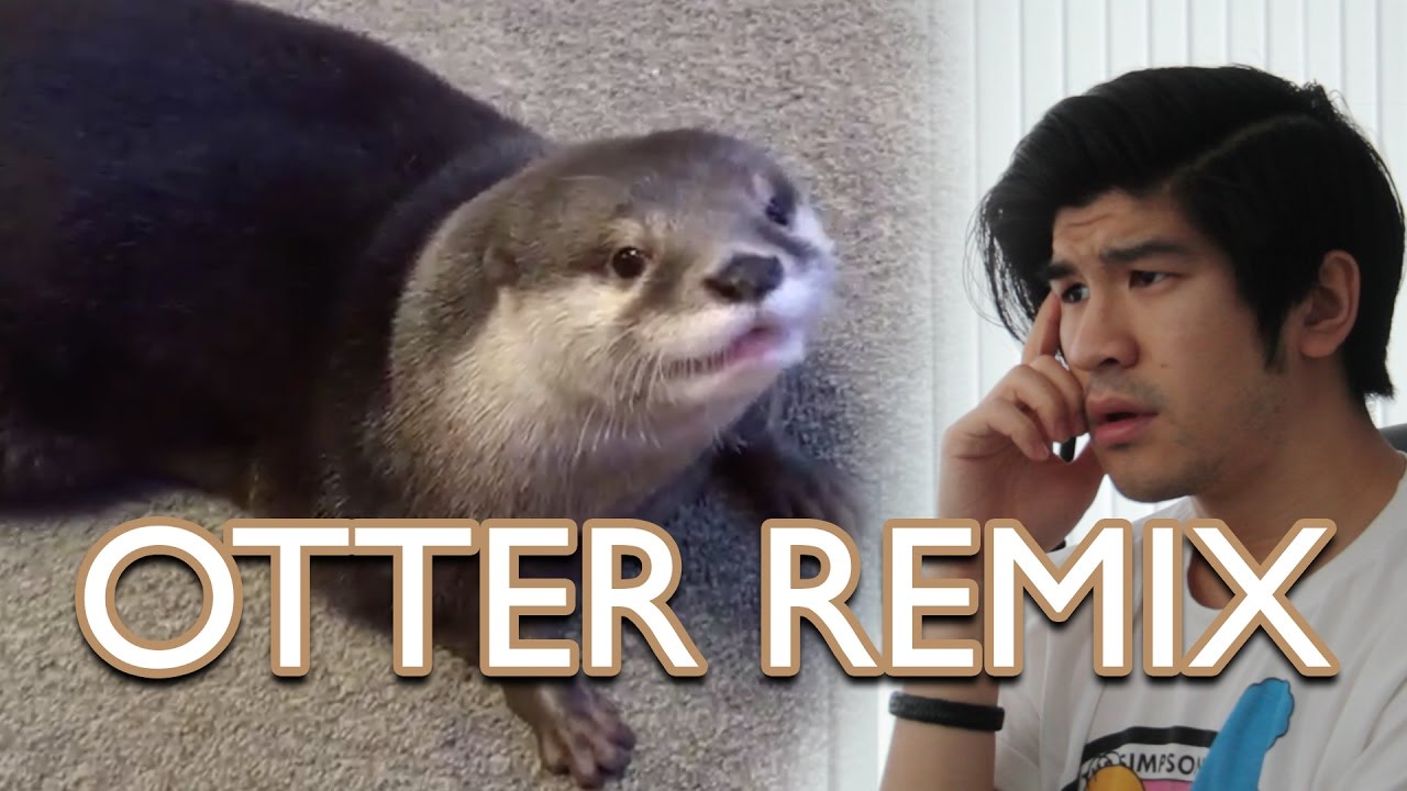 OTTER REMIX  Leslie Wai