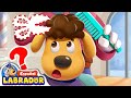 🔍Sheriff Labrador - ¿Quién Robó las Tijeras de Oro? | Videos para Niños | BabyBus en Español