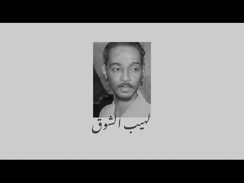 محمود عبد العزيز لهيب الشوق لهيب الشوق