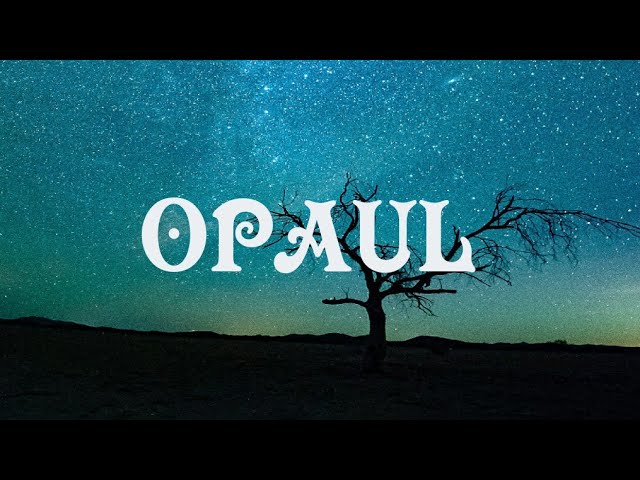 Freddie Dredd - Opaul (Lyrics) | love i know . class=