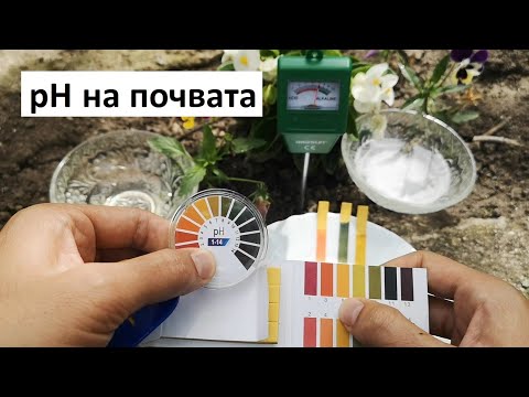 Видео: Как да неутрализираме киселинността на почвата