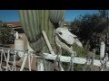 Sergio Borroni. Baja California by bicycle