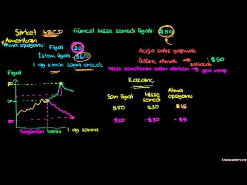 Hisse Senedinin Açığa Satışı: Temel Bilgiler (Finans ve Sermaye Piyasaları)