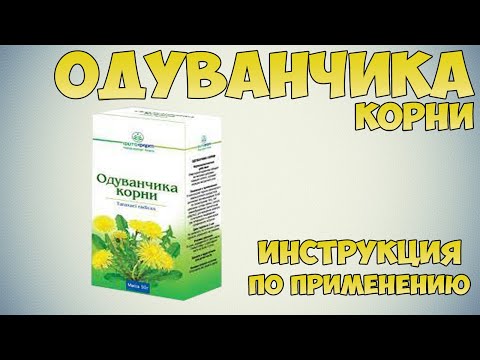 Одуванчика корни инструкция по применению препарата: Показания, как применять, обзор препарата