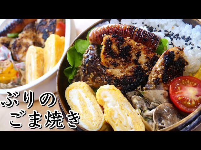 【お弁当】こりゃご飯が進むぶりのゴマ焼き弁当／至近距離な猫【bento】【English subs】