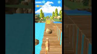 Dog run android game ।। #game #dogrun screenshot 5