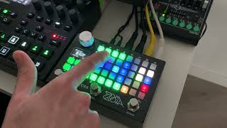 Midas Hand for Zoia: Performance Dynamics Processor