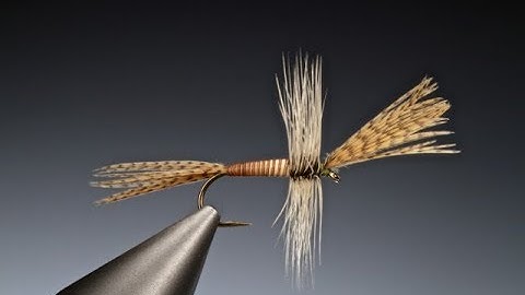 Tying a Moose mane dun with Barry Ord Clarke
