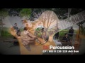 Sule Enterprise Percussion - Sahur Song