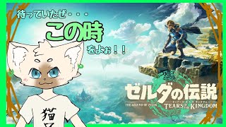 完結　#ゼルダの伝説　#TearsOfTheKingdom