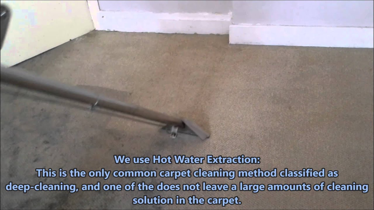 Carpet Cleaning by Hot water extraction YouTube