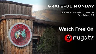 Grateful Monday 2\/17\/20 live from Terrapin Crossroads in San Rafael, CA!