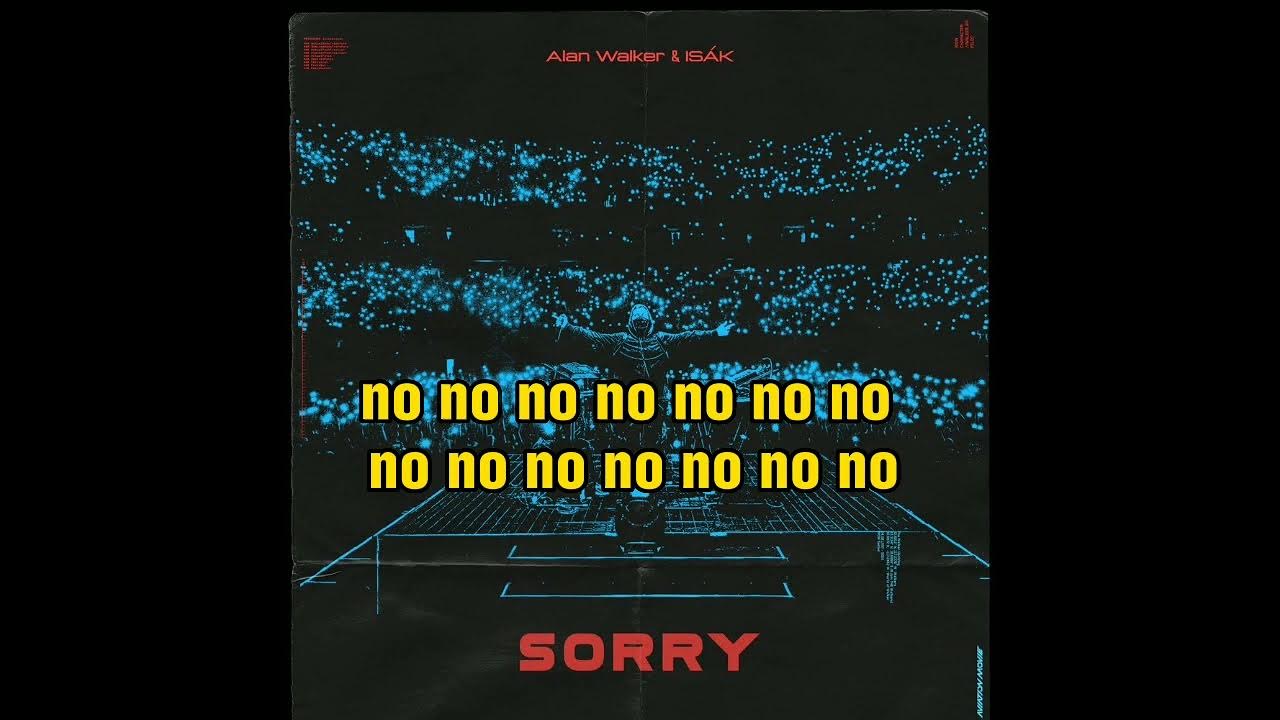 Allan sorry. Alan walker sorry. sorry remix alan walker.