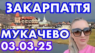 :    3.03.2025  ϲ,  , ²