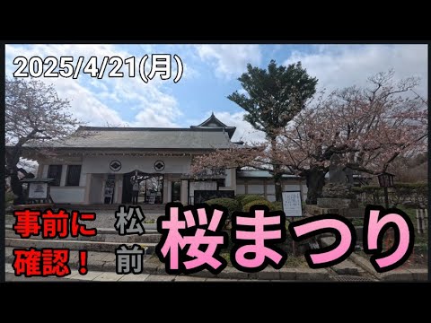 2025/4/21 松前城 松前さくらまつり