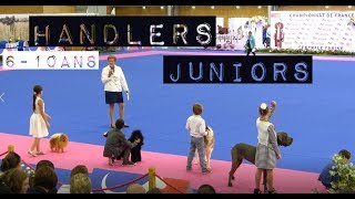 Handlers Juniors (6-10ans) _ Championnat de France Chien de Race (Nantes) by Pattes de Cyno 200 views 6 years ago 4 minutes