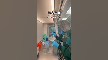 Day in the life of a scientist 🧪