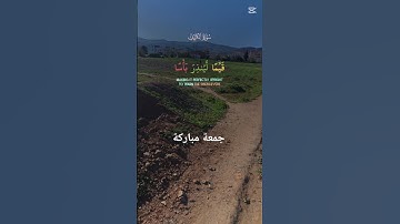 #القرآن_الكريم #المصحف #تلاوات #راحة_نفسية #لايك #صلوا_على_النبي