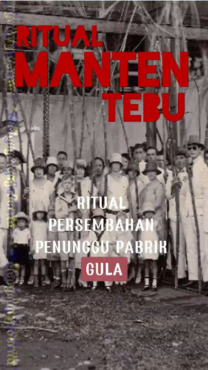Ritual Manten Tebu Di Pabrik GULA