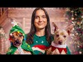 Mes Chiennes Passent le MEILLEUR Noël de leur Vie !! thumbnail