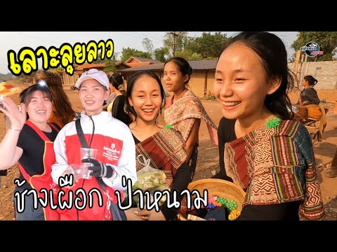 เลาะลุยลาว Ep 2 พบช้างเผือกที่ ป่าหนาม​ epนี้มีเฟสบุ้ค​ สาวให้ด้วย