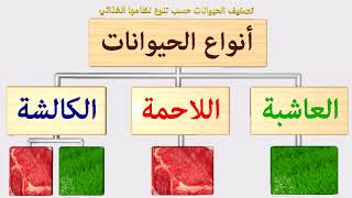 أنواع الحيوانات | الحيوانات العاشبة - اللاحمة - الكالشة | تصنيف الحيوانات حسب نوع الغذاء