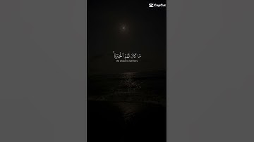 ما تيسر من تلاوات الشيخ ياسر الدوسري