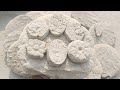 Milky Sand Dry Floor & Claypot Crumbling ASMR | @Mahnoor_rajput_2001