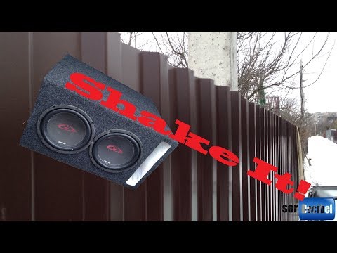 Two Alpine SWG 844. 8" Flexing. Skar Audio SK-1500.1 Two Alpine SWG 844. 8" Flexing. Skar Audio SK-1500.1