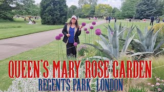 Queen Mary's Rose Garden 🌹 Regents Park ,The Royale Park in London