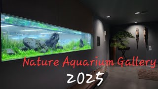 Ada Nature Aquarium Gallery 2025 - Full Tour.