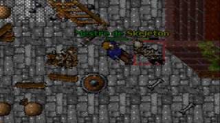 Tibia Level 8 em 4 horas