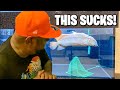 DO NOT BUY AN “AROWANA DRAGON FISH” BEFORE WATCHING THIS VIDEO!