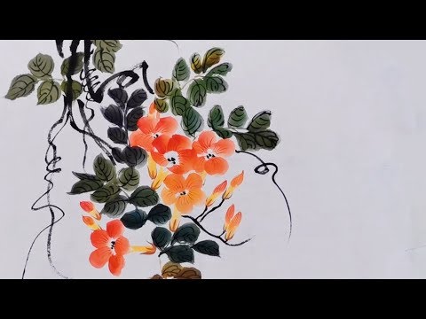 Video: Chinese Trumpet Creeper Info – Vinkkejä Kiinan trumpettiköynnösten kasvattamiseen